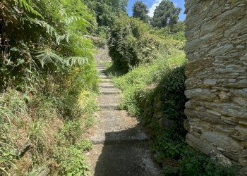 IMG_7110 2.JPG - Casale Seravezza - foto 27