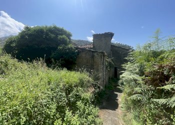 IMG_7111 2.JPG - Casale Seravezza - foto 28