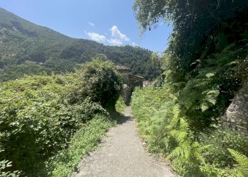 IMG_7112 2.JPG - Casale Seravezza - foto 29