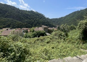 IMG_7113 2.JPG - Casale Seravezza - foto 30