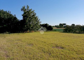 Building land Via rigossa destra, Gatteo - photo 7