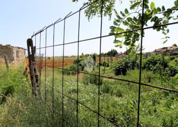 Building land Via rigossa destra, Gatteo - photo 11