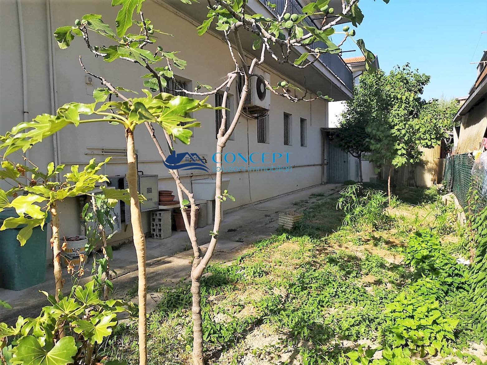 Independent house Martinsicuro - photo 3