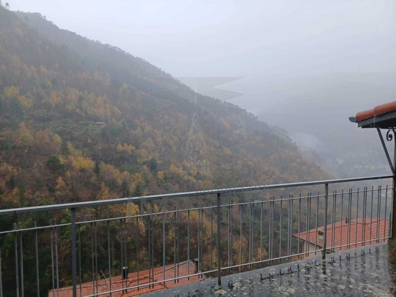 castelv saluzzi 4.jpeg - Terratetto - Terracielo Via Roma 45, Castel Vittorio - foto 2