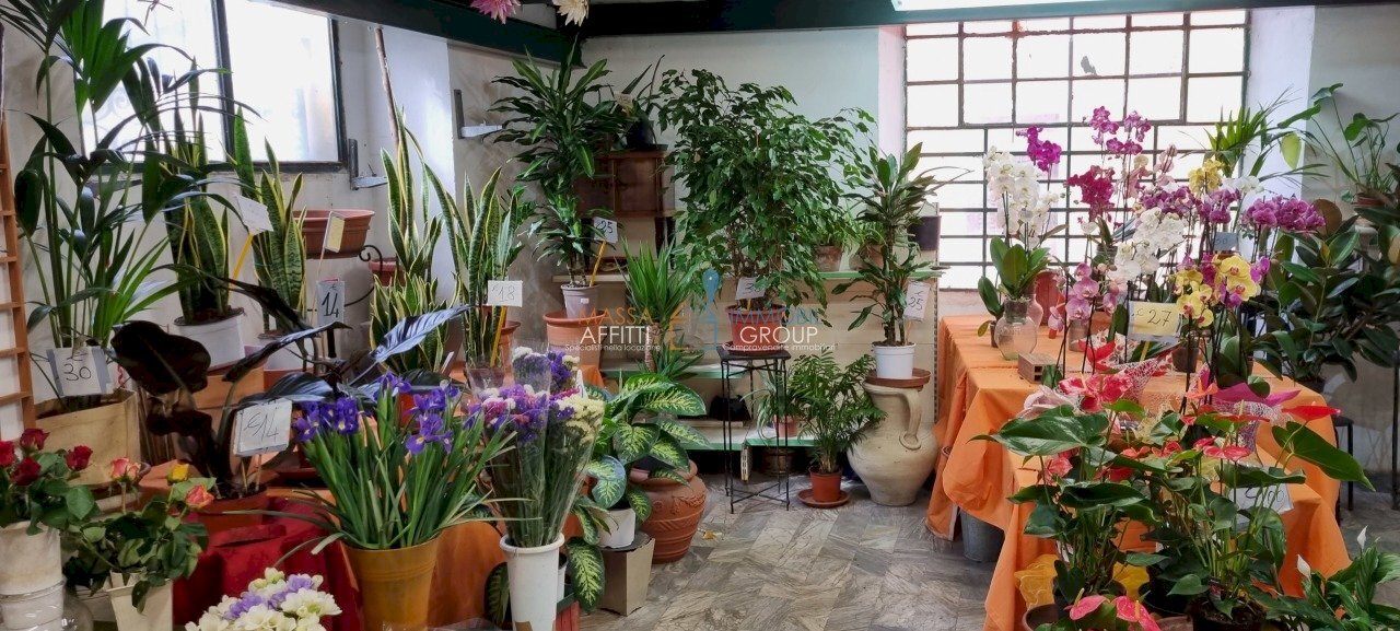 20230420_101715.jpg - Locale Commerciale Via Solferino 2 c, Carrara - foto 1