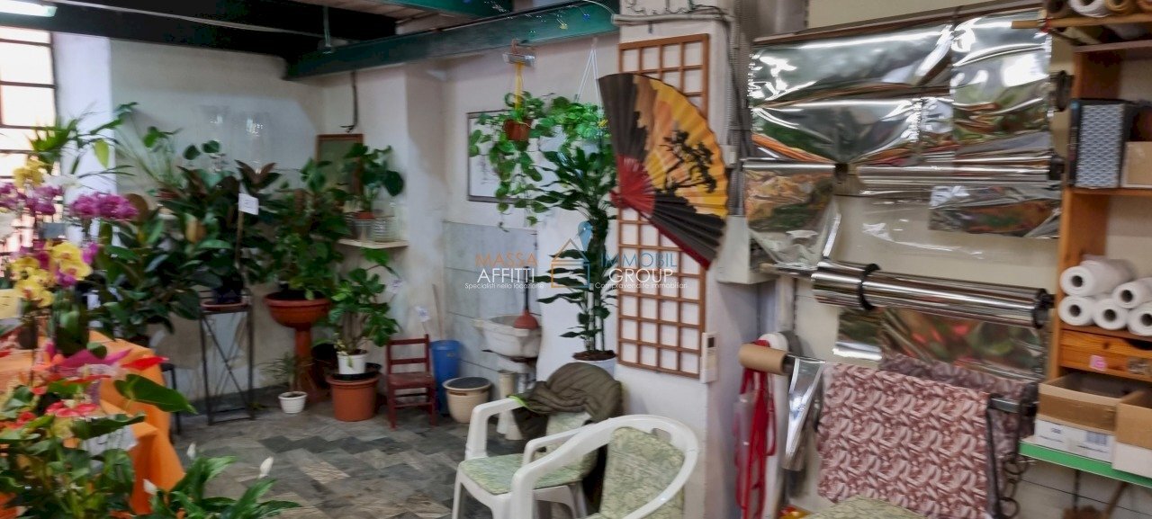 20230420_101717.jpg - Commercial Premises Via Solferino 2 c, Carrara - photo 2