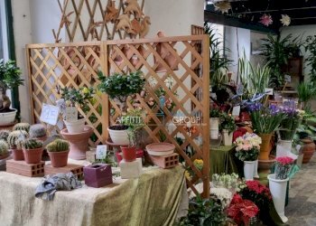 20230420_101724.jpg - Locale Commerciale Via Solferino 2 c, Carrara - foto 5