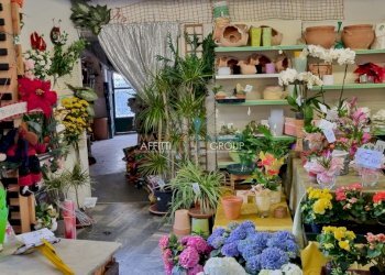 20230420_101734.jpg - Locale Commerciale Via Solferino 2 c, Carrara - foto 6