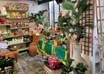 20230420_101736.jpg - Locale Commerciale Via Solferino 2 c, Carrara - foto 7