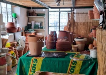 20230420_101756.jpg - Locale Commerciale Via Solferino 2 c, Carrara - foto 9