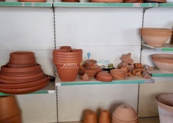 20230420_101806.jpg - Locale Commerciale Via Solferino 2 c, Carrara - foto 11