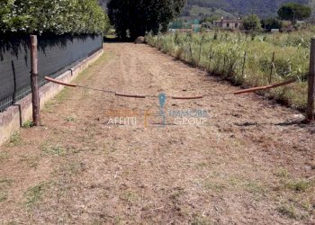 WhatsApp Image 2023-02-22 at 07.50.08.jpeg - Agricultural land Via Romana 117, Massa - photo 4