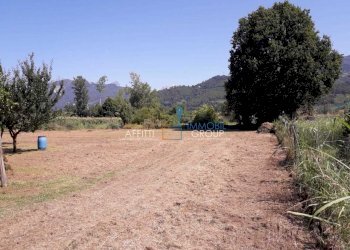 WhatsApp Image 2023-02-22 at 07.50.58.jpeg - Agricultural land Via Romana 117, Massa - photo 6