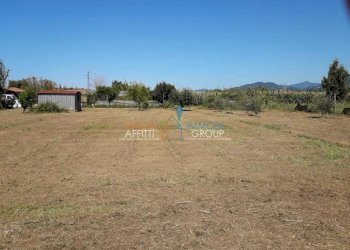 WhatsApp Image 2023-02-22 at 07.51.16.jpeg - Agricultural land Via Romana 117, Massa - photo 7