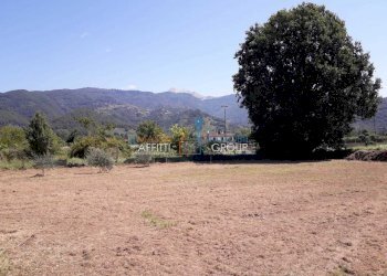 WhatsApp Image 2023-02-22 at 07.52.03.jpeg - Agricultural land Via Romana 117, Massa - photo 9