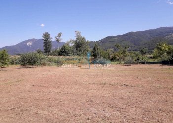 WhatsApp Image 2023-02-22 at 07.52.22.jpeg - Agricultural land Via Romana 117, Massa - photo 10