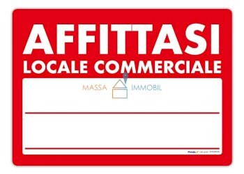 51hPC+8nyUS._SL1000_.jpg - Locale Commerciale Via Pieve 6, Montignoso - foto 1