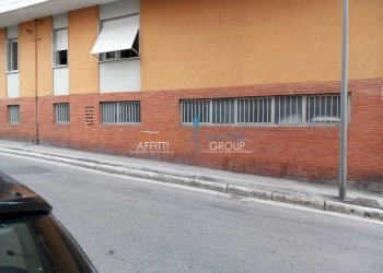 WhatsApp Image 2022-10-24 at 13.20.45 (1).jpeg - Magazzino Via Pietro Tacca 1, Carrara - foto 5