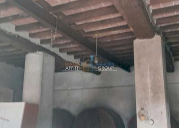 WhatsApp Image 2022-10-10 at 18.31.58.jpeg - Porzione di casa Località Monticello, Carrara - foto 10