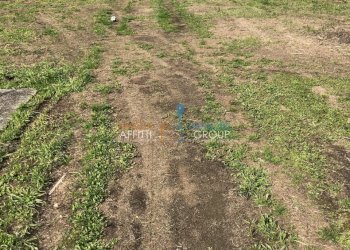 IMG_5872.JPG - Villa Via Marina Vecchia 302, Massa - foto 16