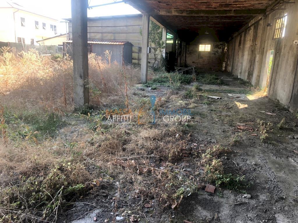 WhatsApp Image 2021-09-18 at 13.32.57 (5).jpeg - Locale Commerciale Via Campo d'Appio 25, Carrara - foto 3