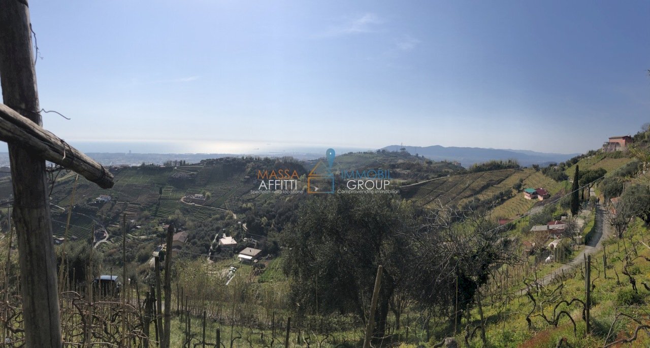 IMG_4629.JPG - Terreno agricolo Via San Lorenzo 111, Massa - foto 1