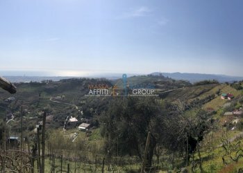 IMG_4629.JPG - Agricultural land Via San Lorenzo 111, Massa - photo 1