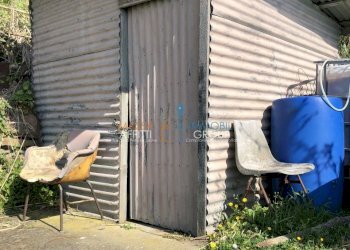 IMG_4627.JPG - Agricultural land Via S. Lorenzo Romagnano 62, Massa - photo 12