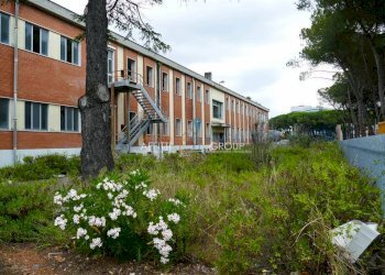 F_693105.jpg - Ufficio Via degli Oliveti 115, Massa - foto 6