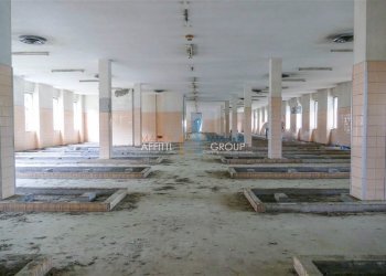 F_569762.jpeg - Ufficio Via degli Oliveti 115, Massa - foto 7