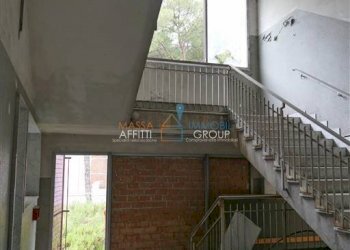 F_447144.jpg - Ufficio Via degli Oliveti 115, Massa - foto 8