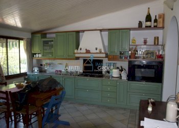 DSC_0208 (FILEminimizer).JPG - Villa a Schiera Via Silcia 11, Montignoso - foto 11