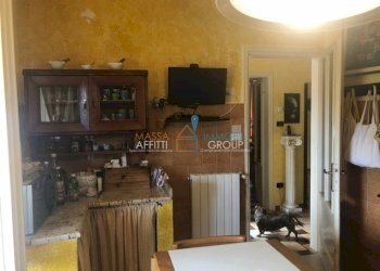 IMG_2589.jpg - Villa Via Piagola 24, Massa - foto 13