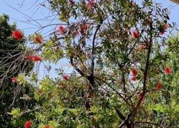 Cattura 17.JPG - Appartamento Viale Monzoni 37, Carrara - foto 21