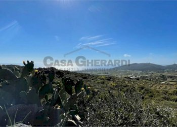 imm_5663-880--20230617122515-.jpg - Casale Pantelleria - foto 5