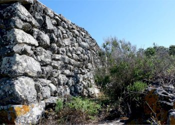 imm_5648-880--20230612202244-.jpg - Casale Pantelleria - foto 11