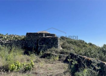 imm_5649-880--20230612202205-.jpg - Casale Pantelleria - foto 2