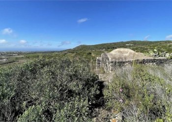 imm_5653-880--20230612202151-.jpg - Casale Pantelleria - foto 18