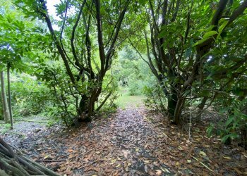 Farmhouse Cuneo, Via Tetti Pesio, Cuneo - photo 16