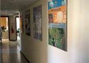 Laboratorio Modena - foto 2