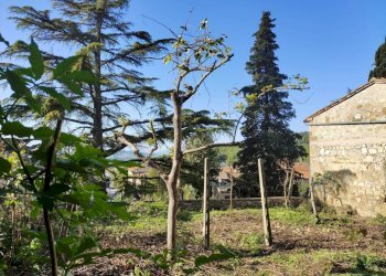 Villa Unifamiliare Via Bandini, Torrita di Siena - foto 12