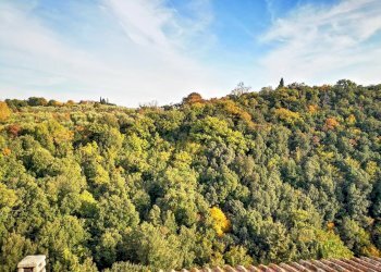 Appartamento Via Gramsci, Trequanda - foto 6