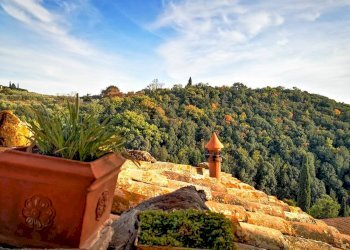 Appartamento Via Gramsci, Trequanda - foto 7