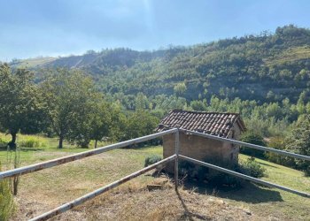 Rustico via Rio Rocca, Castellarano - foto 37