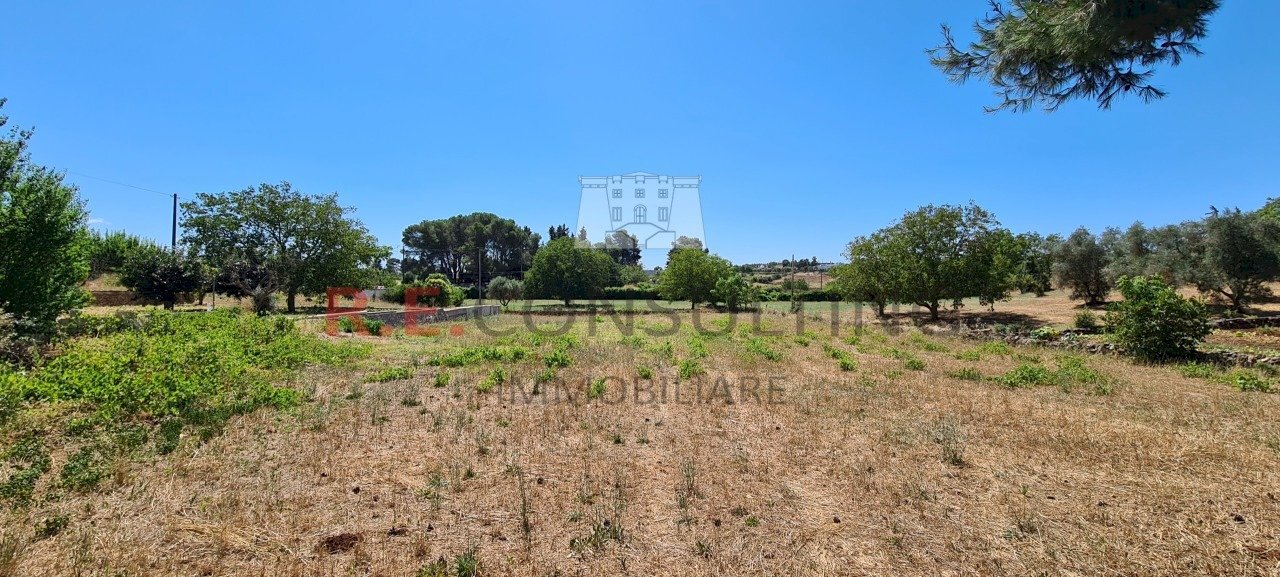 20230727_110826.jpg - Villa SP581 23, Martina Franca - foto 3