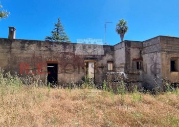 20230727_110711.jpg - Villa SP581 23, Martina Franca - foto 1