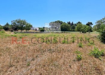 20230727_110906.jpg - Villa SP581 23, Martina Franca - foto 5