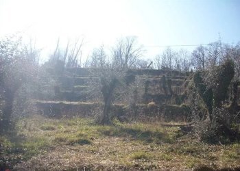 Terreno - Casale Via Tolceto, Ne - photo 5