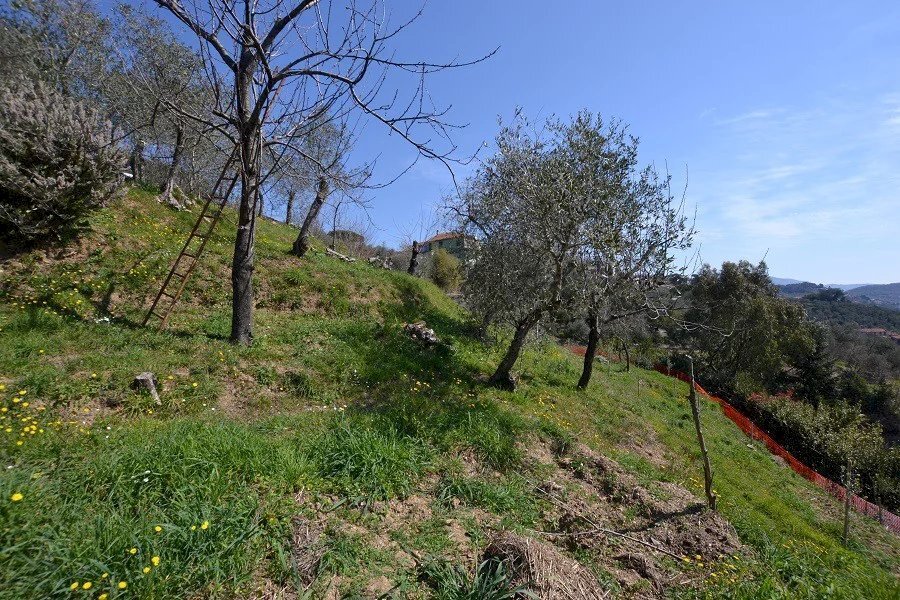 Terreno - Terreno edificabile Via I Maggio, Leivi - foto 3