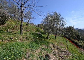 Terreno - Terreno edificabile Via I Maggio, Leivi - foto 3